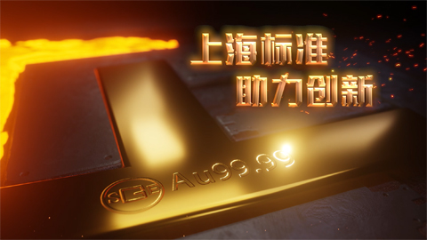 上海標(biāo)準(zhǔn)宣傳片